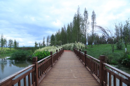 住在中国最美湿地:俊发生态半岛开启真正湖居时代_房产_腾讯网