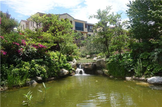 保利万人幸福生活体验第四季点燃端午激情