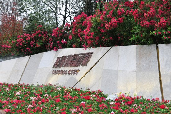 等你与幸福拥抱 龙湖·水晶郦城iPhone6全城派送_房产_腾讯网