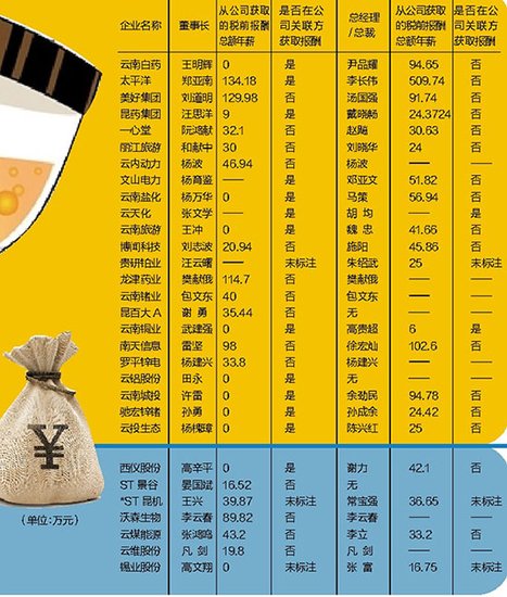 云南30家上市公司公布年报 仅3名董事长年薪过