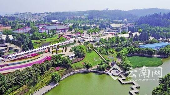 莫斯科人均绿地面积_东胜区人均绿地面积