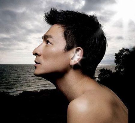 独家策划:网友集结四大猜想 看华仔为何不结婚