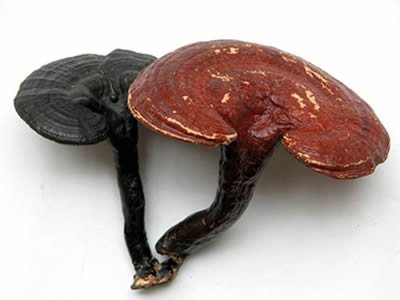 抗衰老药物 吃多小心中毒!