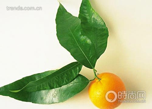 揭秘不宜与牛奶一起吃的食物