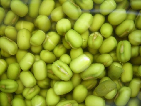 女人排毒养颜必选的美容食物
