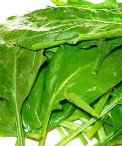 多吃这些蔬果 大饼脸缩一圈