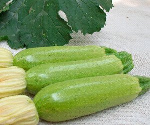 可以常吃的8大超强减肥食物