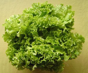 可以常吃的8大超强减肥食物