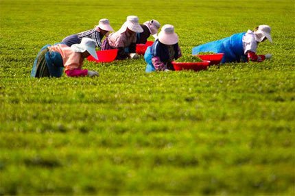 现代孟姜女上千万活得身累心更累