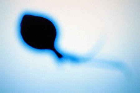 单身女子生娃求种尴尬多