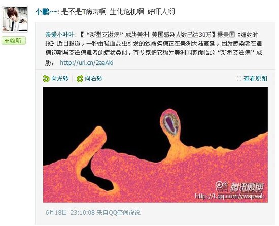 新型艾滋病引恐慌 感染危机离你多远？