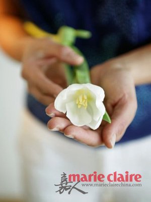 养生必知 藏在子宫的小秘密