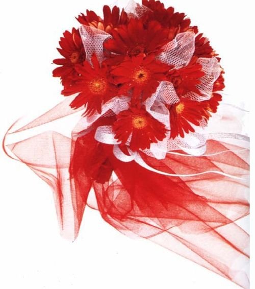 二十件事<em>女人越早知道越幸福</em>_女性_腾讯网