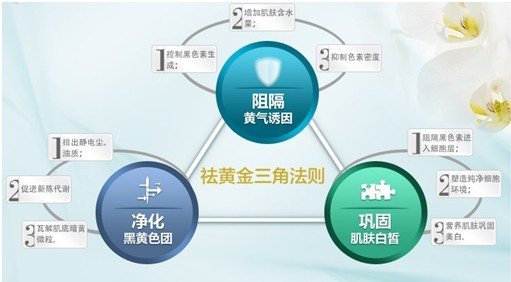 韩国花酿:定义东方女性美白新标准