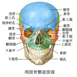 杨幂嫩牛五方脸变V 拔智齿能瘦脸?