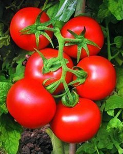 简单划算番茄DIY 养出好皮肤