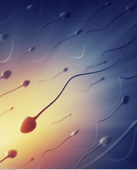 精子的悲伤也会逆流成河_<em>女性</em>_腾讯网