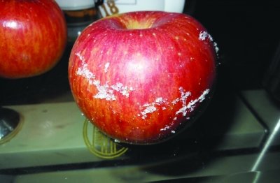 5个苹果半斤蜡 反季水果削皮吃