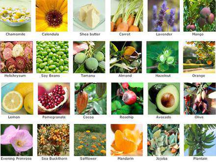 哺乳期护肤品哪种好?孕妇可用护肤品牌有哪些