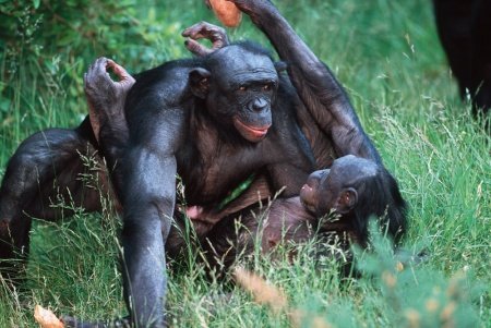 成人世界的性爱课堂_女性_腾讯网