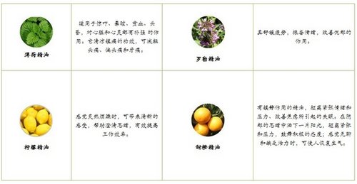 便捷新<em>体验</em> 自然美新推精油<em>按摩</em>棒_<em>女性</em>_腾讯
