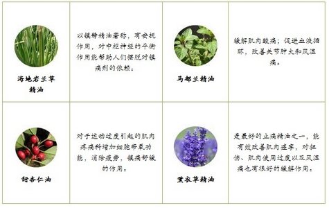 便捷新<em>体验</em> 自然美新推精油<em>按摩</em>棒_<em>女性</em>_腾讯
