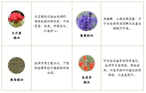 便捷新<em>体验</em> 自然美新推精油<em>按摩</em>棒_<em>女性</em>_腾讯