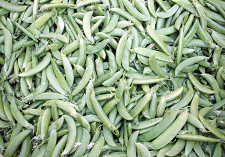 餐桌上7种美白蔬菜便宜美肤