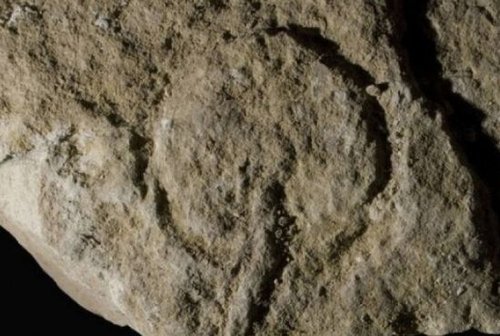 揭秘4万年前<em>女性生殖器</em>壁画_女性_腾讯网