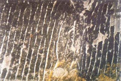 驾洛国首露王妃许黄玉