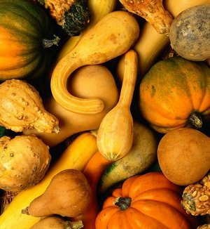 南瓜减肥法 低卡饱腹又美味_女性_腾讯网