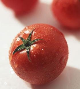 吃西红柿零负担1周减肉4斤