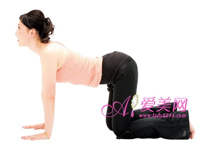 骨盆<em>操</em>减脂 瘦腰减肚最有效_<em>女性</em>_腾讯网