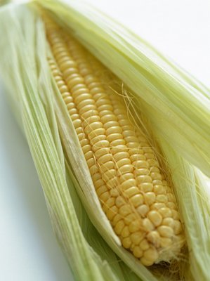 减肥需斤斤计较8大主食热量