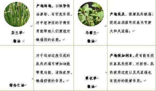 高级精油世家自然美新推金品复方按摩精油产品