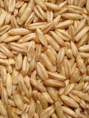 减肥需斤斤计较8大主食热量