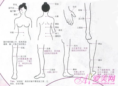 刮痧减肥方法操作指南 好身材刮出来