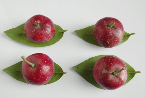 难吃但确实管用的养颜食物
