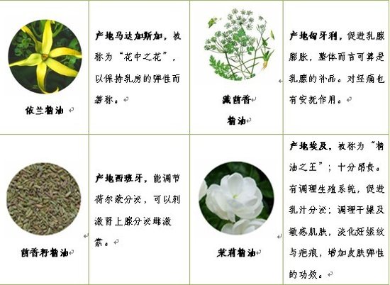 高级精油世家自然美新推金品复方按摩精油产品