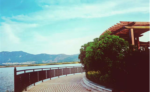 又一实力房企进驻,猴嘴北为何可以咸鱼翻身?