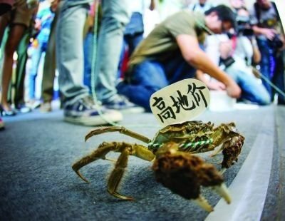 南京房展会 飞机坦克螃蟹齐上阵 抗议高房价(图