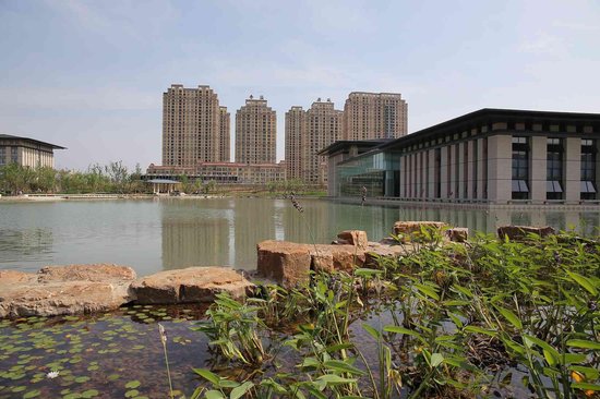 刘若英驾到 来香溢广苑抢免费门票 _频道-连云港