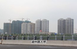 四季金辉