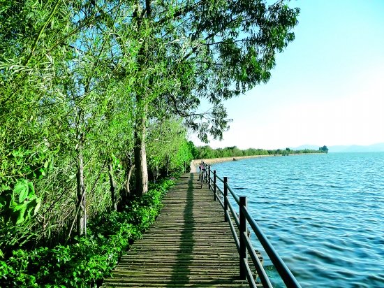 告别空气污染 港城五大绿色宜居盘大推荐_频道