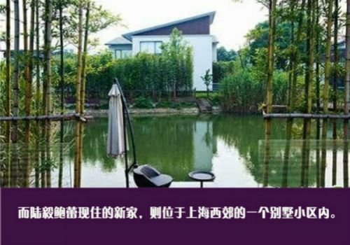 盘点明星豪宅:房子6000万 别墅装修有考究