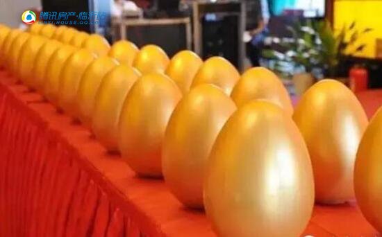 这个端午,恒大翡翠华庭请你免费看海洋萌宠?!