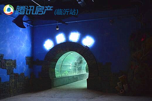 【图】探秘临沂海洋世界主题公园_频道-临沂