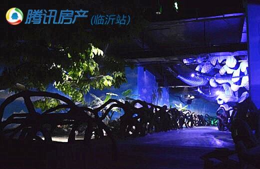 【图】探秘临沂海洋世界主题公园_频道-临沂