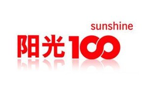 阳光100房地产排名
