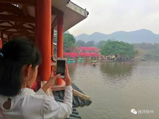 柳州人口太少_柳州里高有多少人口(3)